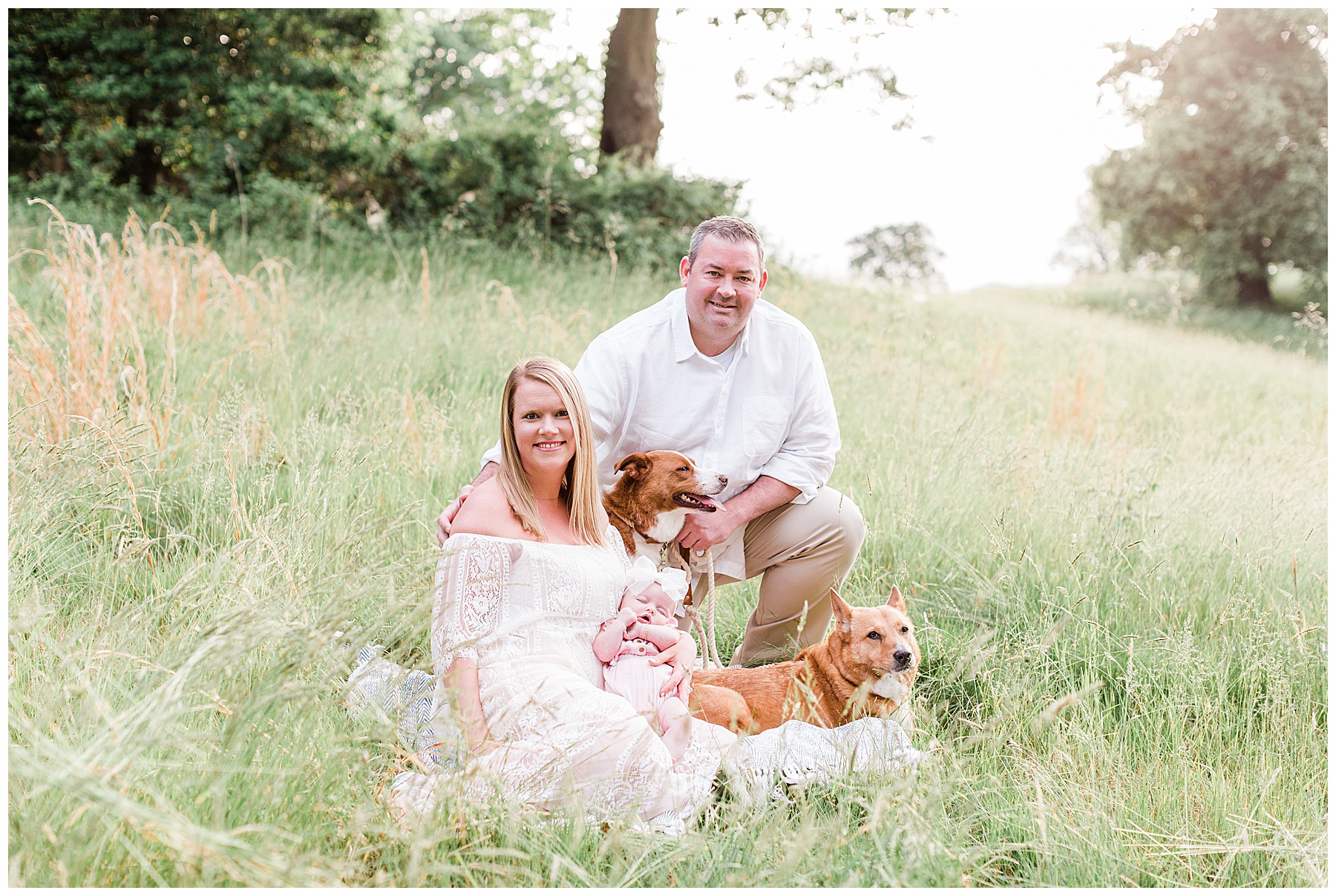 Rockwood-hall-newborn-lifestyle-session-family-with-dogs