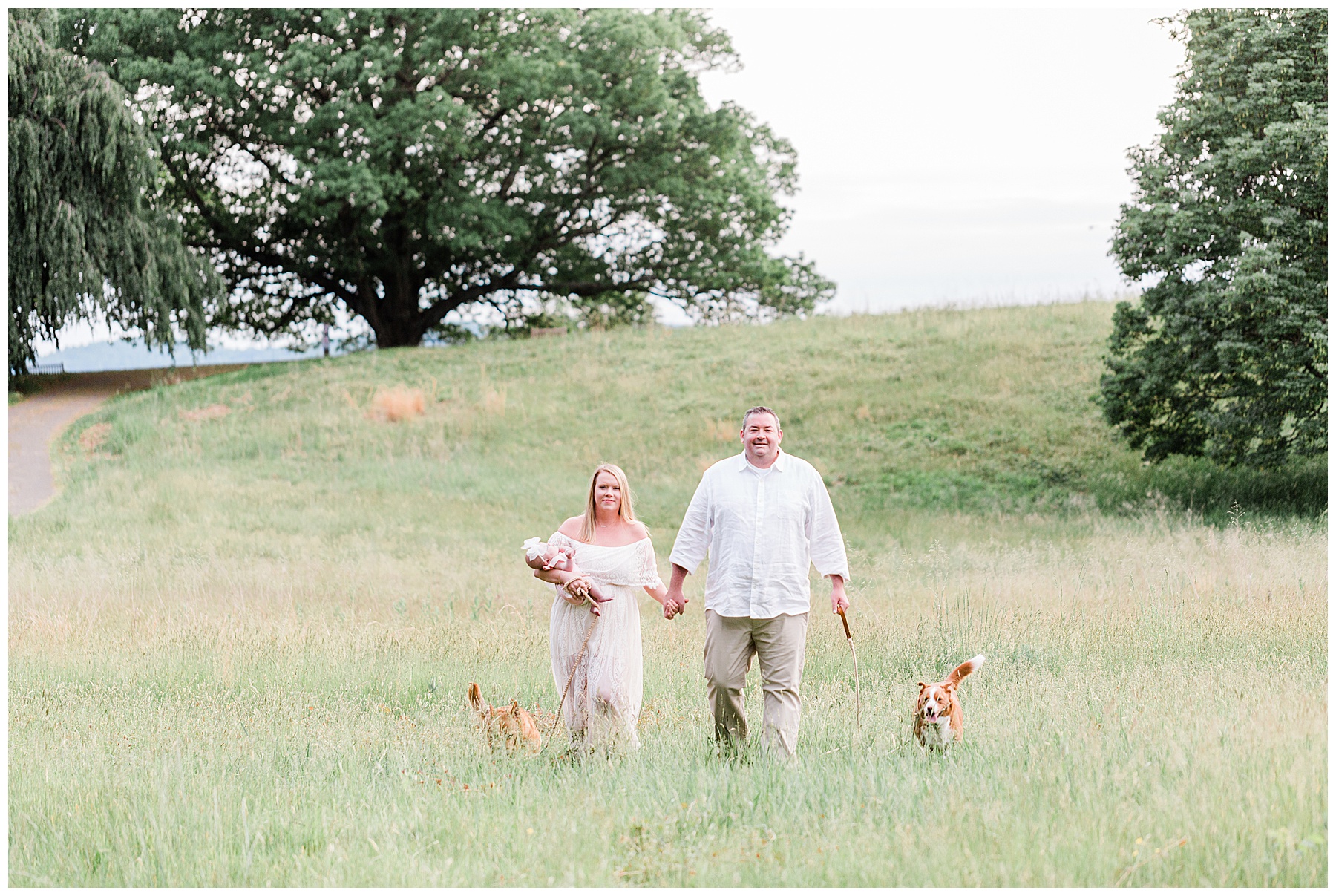 Mom-and-dad-walking-with-dogs-and-baby-in-field