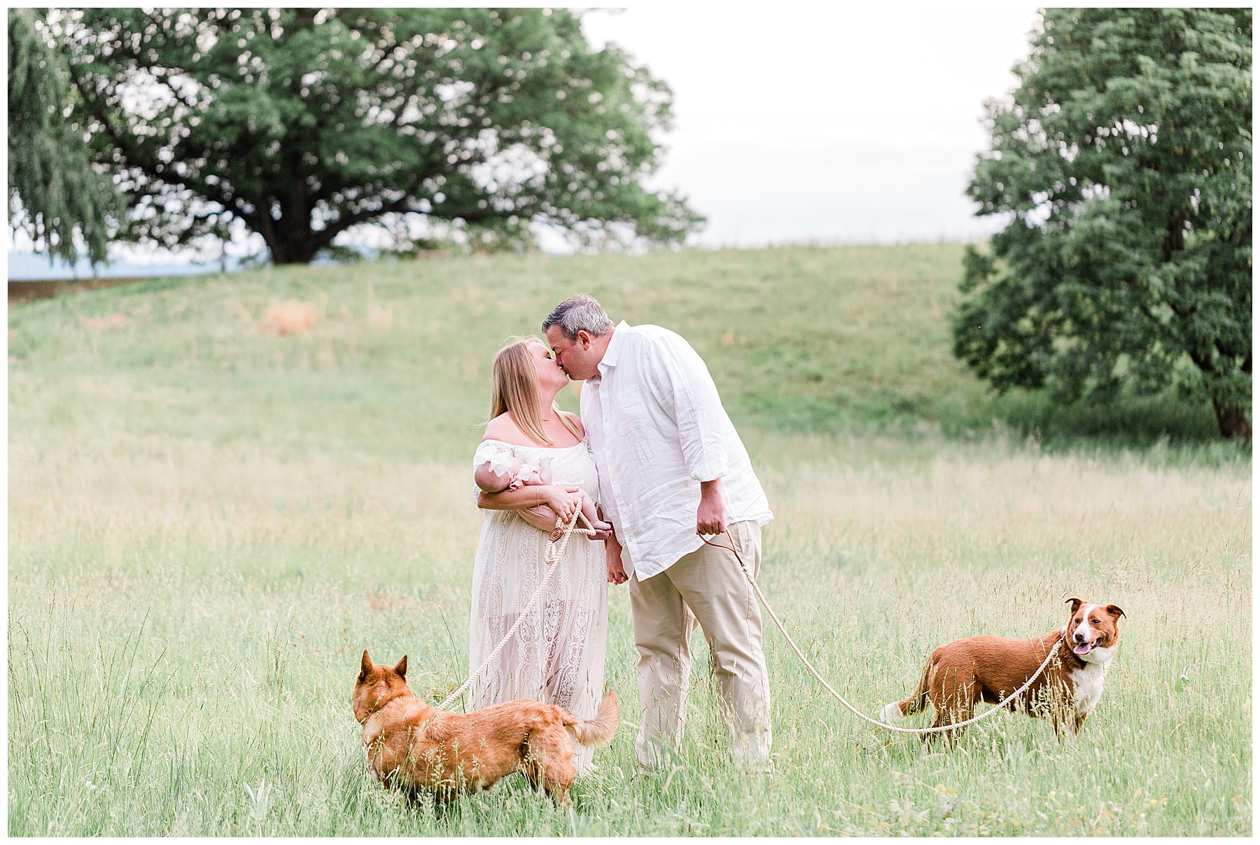Mom-and-dad-kissing-in-field-with-dogs-and-baby