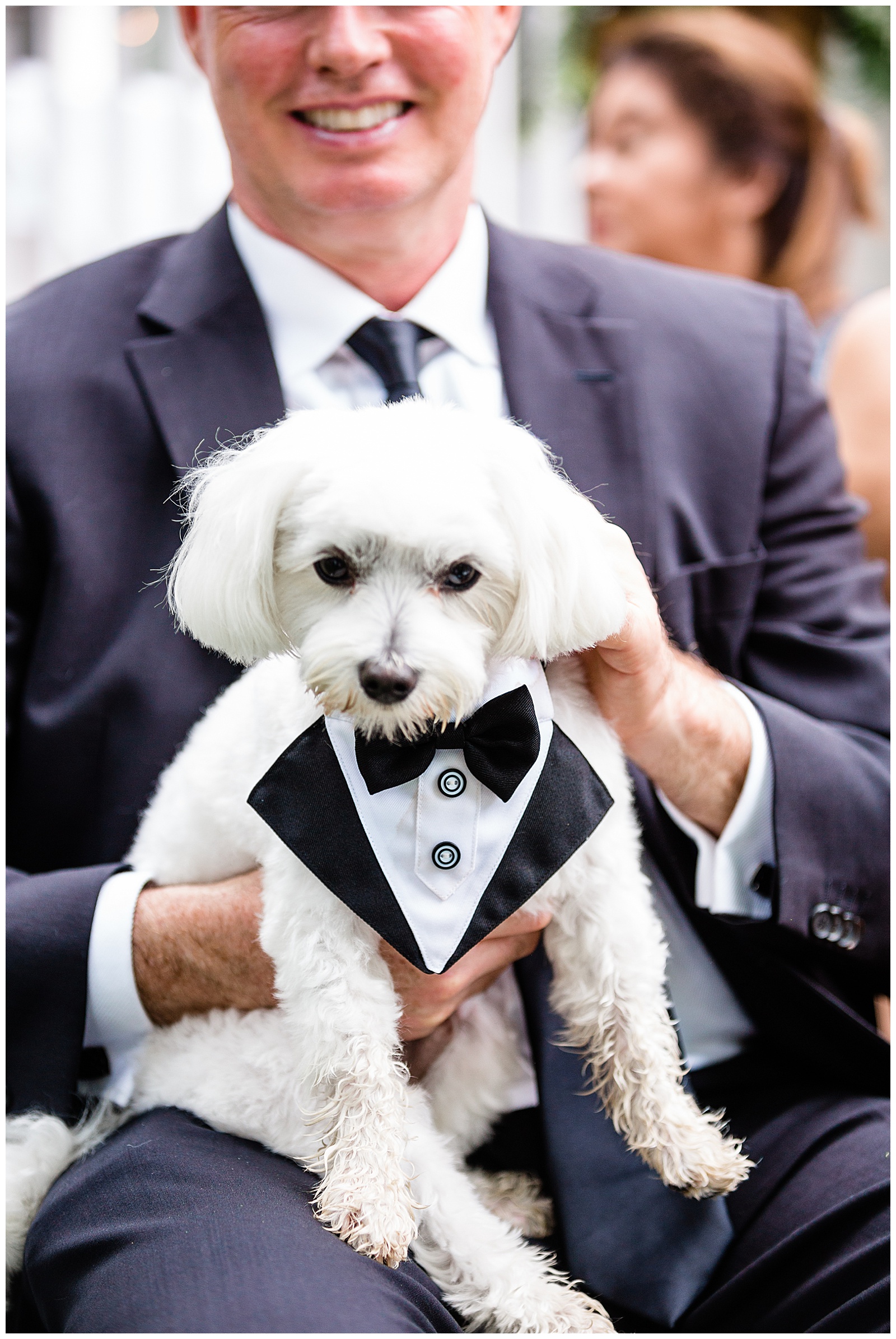 dog-in-a-wedding-tuxedo-kristina-staal-photography-roger-sherman-inn.jpg