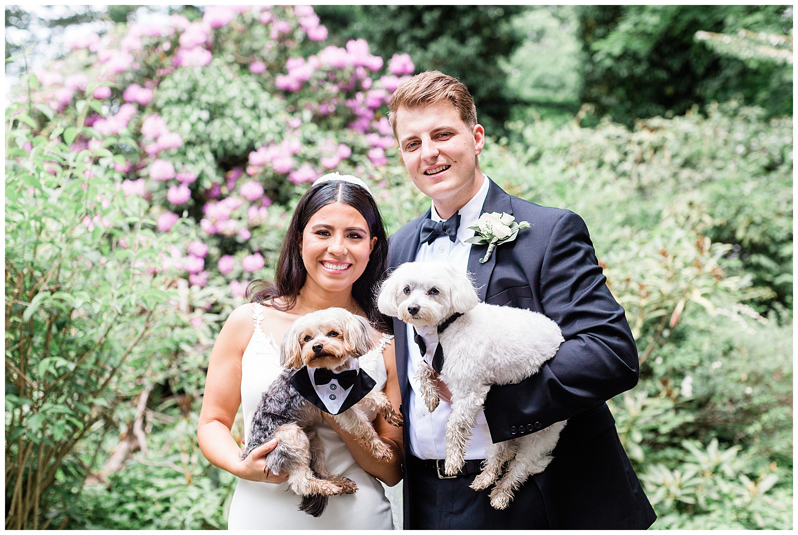 bride-and-groom-with-dogs-wedding-portrait-kristina-staal-photography-Roger-sherman-inn.jpg